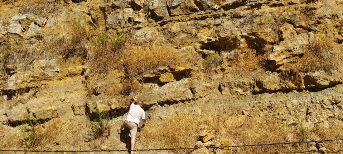 Ancient amber from Lebanon offers a glimpse of a turning point in